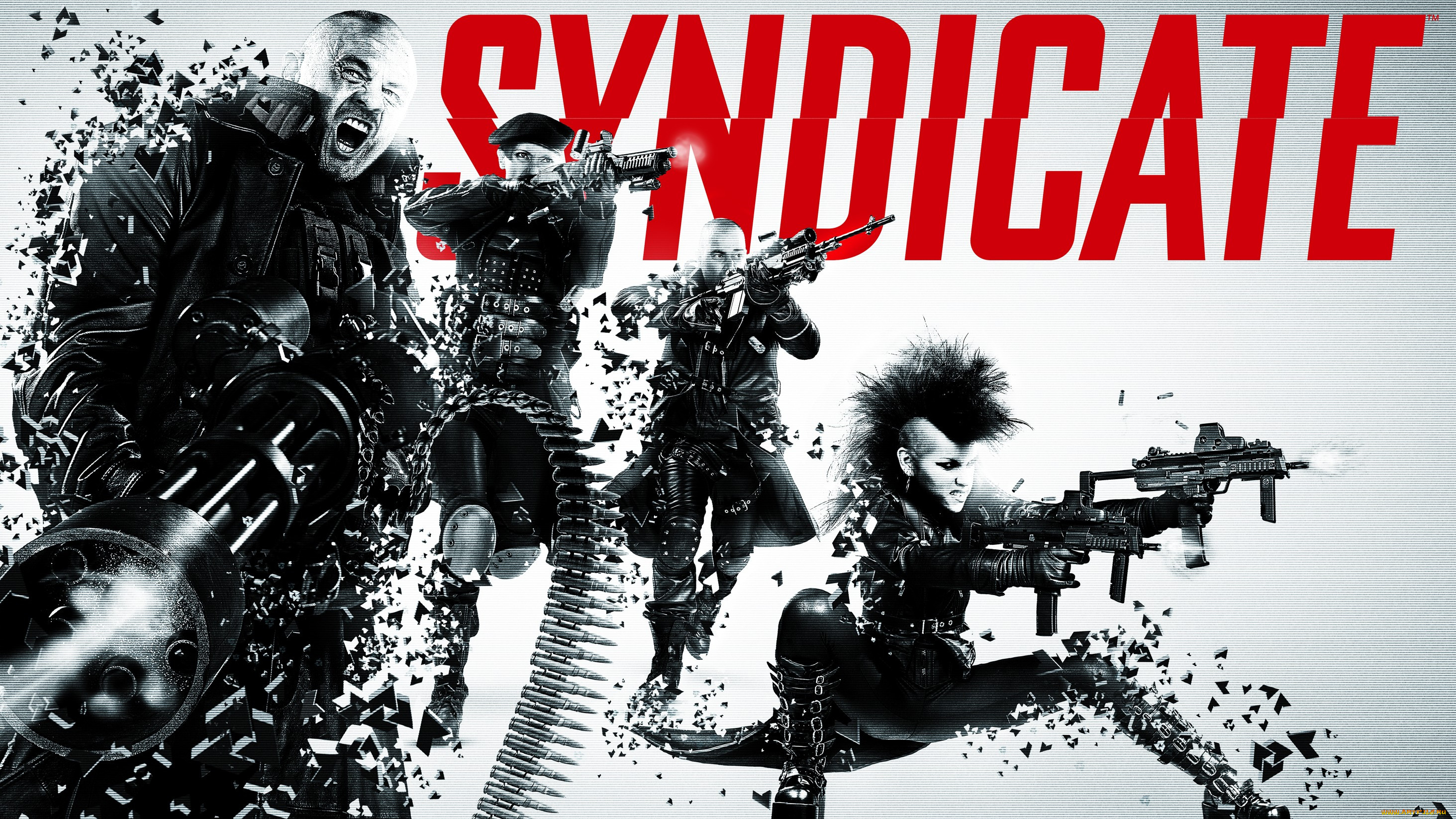 , , syndicate